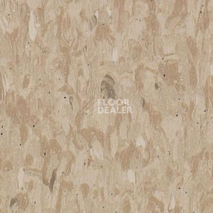 Линолеум Tarkett Iq Granit Safe T BEIGE 0702 фото 1 | FLOORDEALER